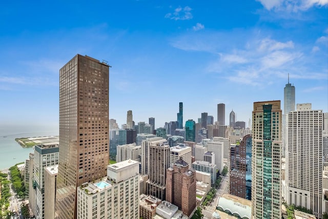800 N Michigan Ave Unit 4801, Chicago, IL 60611 - skyline view with a large body of water