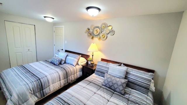 1427 Hampton Ln, Schaumburg, IL 60193 - bedroom featuring a closet