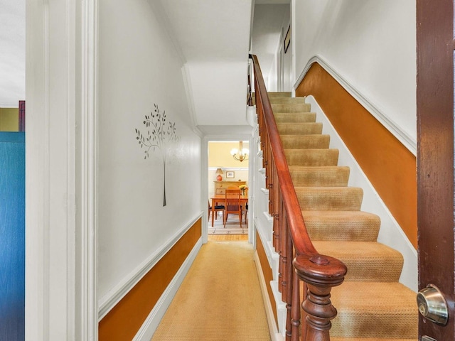 611 S Lynn St, Champaign, IL 61820 - staircase with carpet flooring, a chandelier, and baseboards