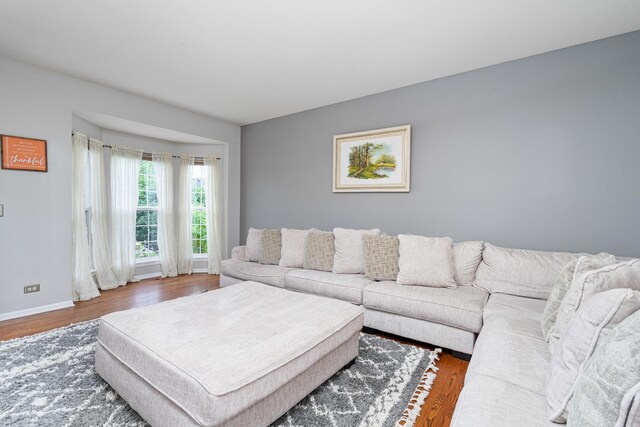 24723 W Champion Dr, Plainfield, IL 60585 - living area with wood finished floors and baseboards