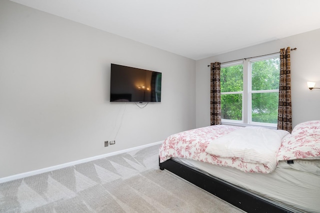 24723 W Champion Dr, Plainfield, IL 60585 - bedroom featuring carpet floors and baseboards