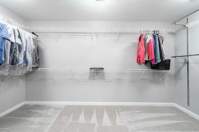 24723 W Champion Dr, Plainfield, IL 60585 - walk in closet with carpet