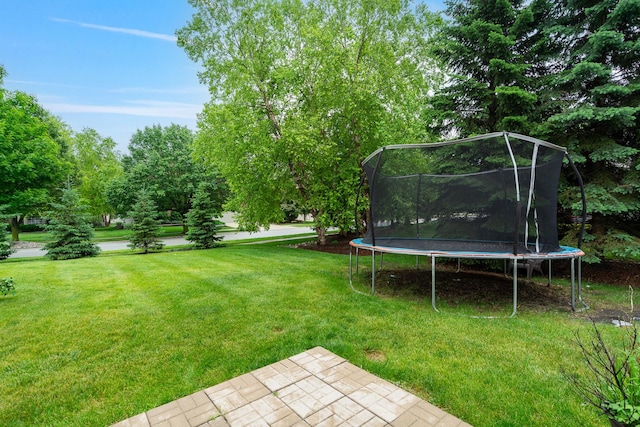 24723 W Champion Dr, Plainfield, IL 60585 - view of grassy yard featuring a trampoline