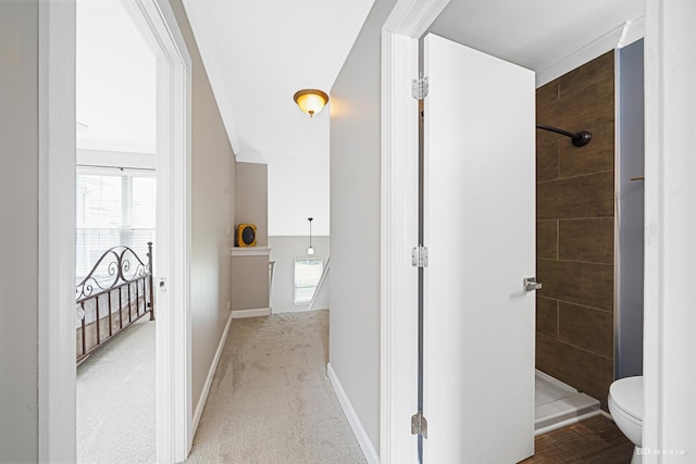 1754 Fieldstone Dr N, Shorewood, IL 60404 - corridor with baseboards and carpet