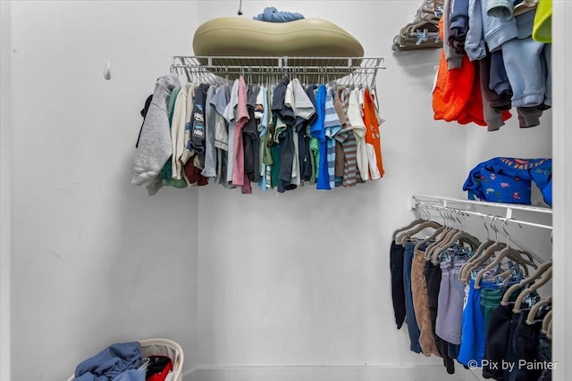 2552 Autumn Grove Ct, Aurora, IL 60504 - view of spacious closet