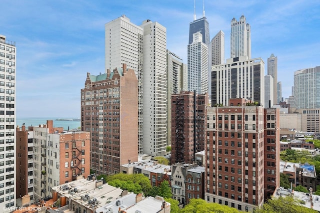 71 E Division St Unit 1606, Chicago, IL 60610 - skyline view with a large body of water
