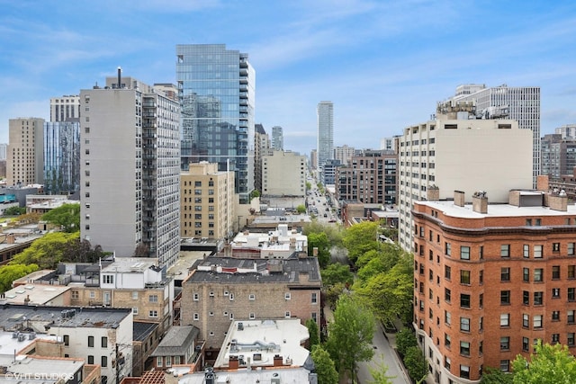 71 E Division St Unit 1606, Chicago, IL 60610 - skyline view