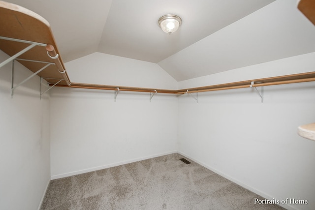 2755 Newport Dr, Naperville, IL 60565 - walk in closet featuring carpet flooring and lofted ceiling