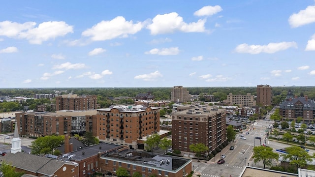 1134 N Dunton Ave, Arlington Heights, IL 60004 - view of urban area
