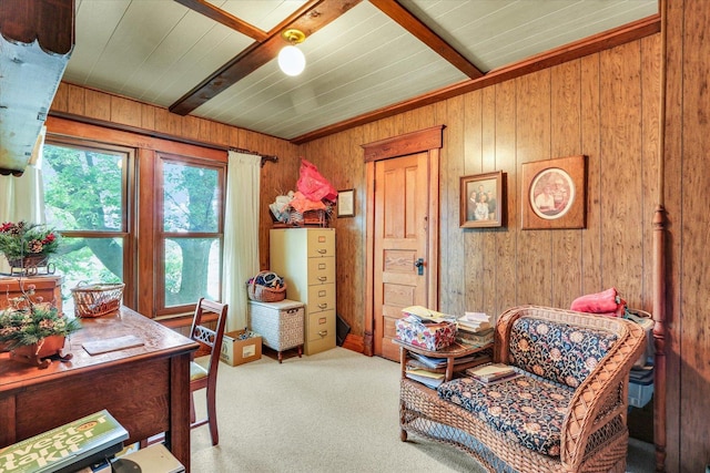 2385 County Road 1550, Saint Joseph, IL 61873 - office featuring wooden walls and carpet floors