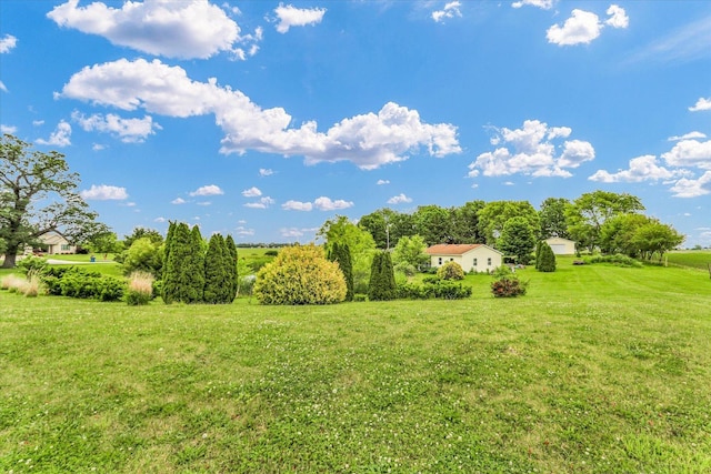 2385 County Road 1550, Saint Joseph, IL 61873 - view of green lawn featuring a rural view