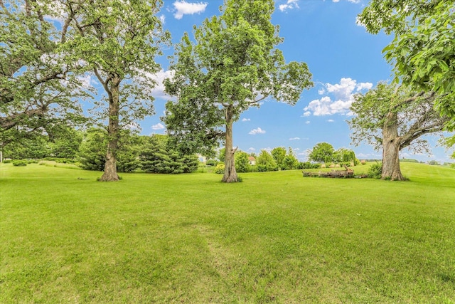 2385 County Road 1550, Saint Joseph, IL 61873 - view of green lawn