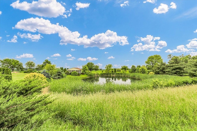 2385 County Road 1550, Saint Joseph, IL 61873 - view of local wilderness with a large body of water