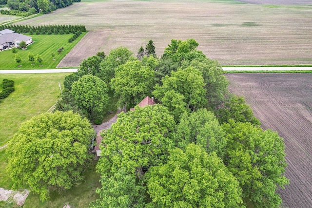 2385 County Road 1550, Saint Joseph, IL 61873 - overview of rural landscape with farmland