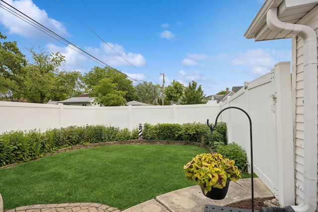 6200 N Overhill Ave, Chicago, IL 60631 - view of yard
