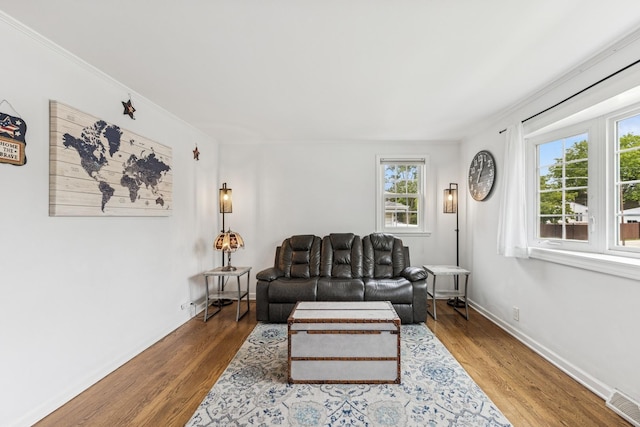 6200 N Overhill Ave, Chicago, IL 60631 - living room featuring healthy amount of natural light, wood finished floors, and baseboards