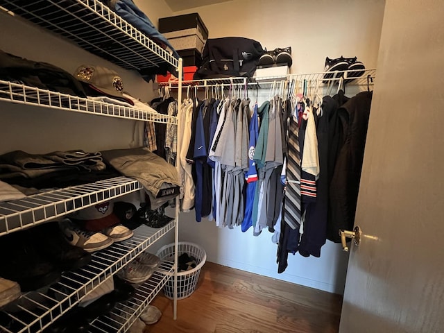 900 Windstone Ct, Lake In The Hills, IL 60156 - spacious closet featuring wood finished floors