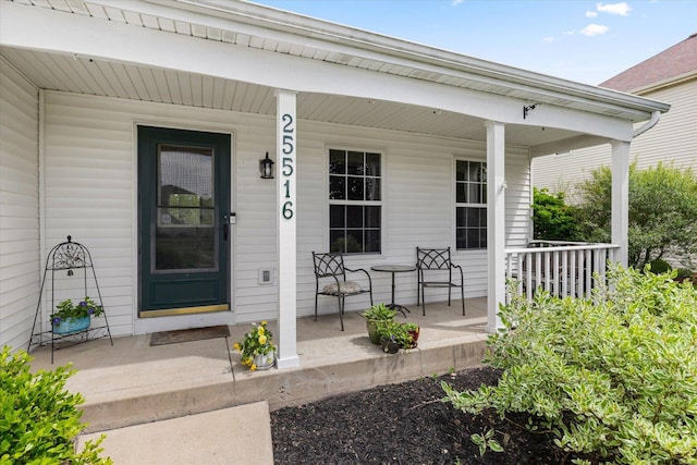25516 W Gateway Cir, Plainfield, IL 60585 - doorway to property featuring a porch