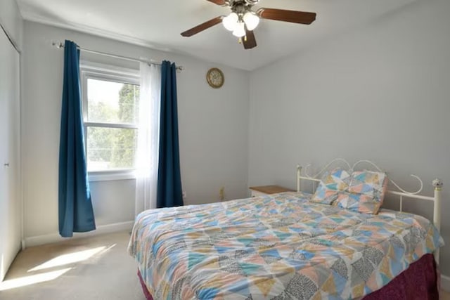 1557 Scottdale Cir, Wheaton, IL 60189 - bedroom with carpet floors, ceiling fan, and baseboards