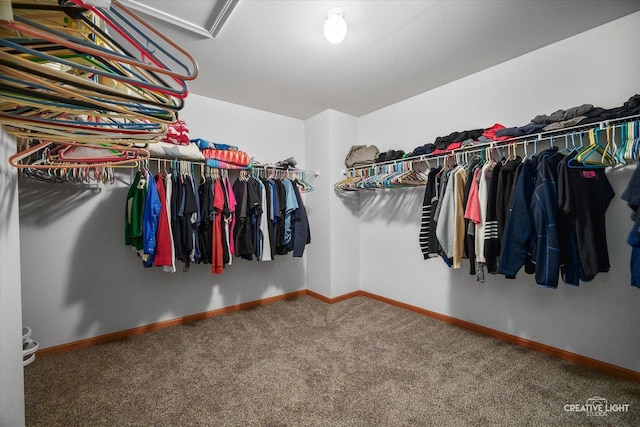 2355 Avalon Ct, Aurora, IL 60503 - walk in closet with carpet