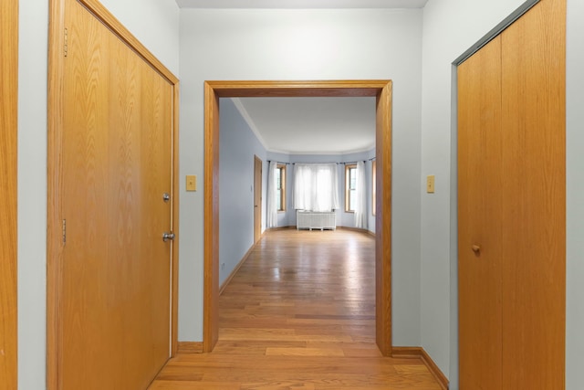 405 S Harvey Ave Unit 2A, Oak Park, IL 60302 - hall featuring light wood-style flooring, ornamental molding, and baseboards