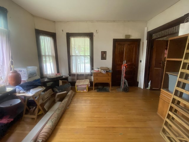 131 S 3rd St, Oregon, IL 61061 - living area featuring light wood-type flooring