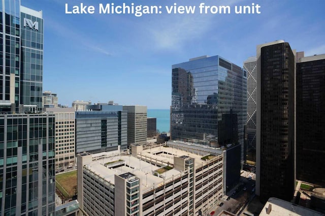 600 N Fairbanks Ct Unit 2503, Chicago, IL 60611 - view of city with a nearby body of water