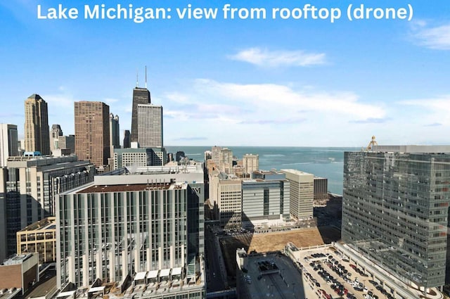 600 N Fairbanks Ct Unit 2503, Chicago, IL 60611 - view of city skyline featuring a large body of water