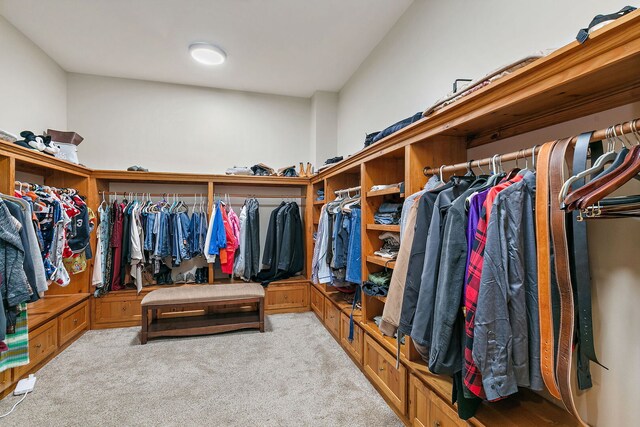 10731 Somonauk Rd, Hinckley, IL 60520 - spacious closet featuring carpet flooring