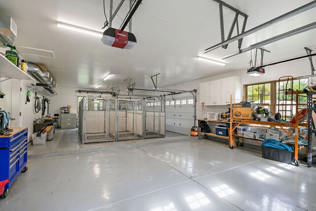 10731 Somonauk Rd, Hinckley, IL 60520 - garage with a garage door opener and a workshop area