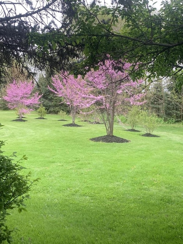10731 Somonauk Rd, Hinckley, IL 60520 - view of grassy yard