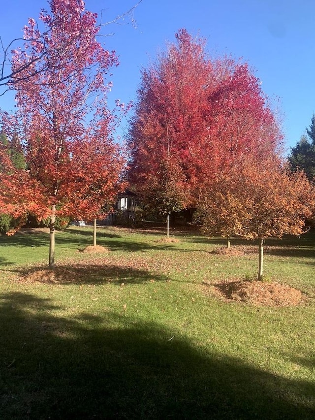 10731 Somonauk Rd, Hinckley, IL 60520 - view of property's community with a yard