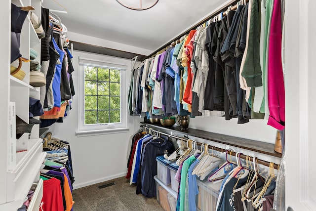 18120 Waterside Cir Unit 18120, Orland Park, IL 60467 - spacious closet with carpet flooring