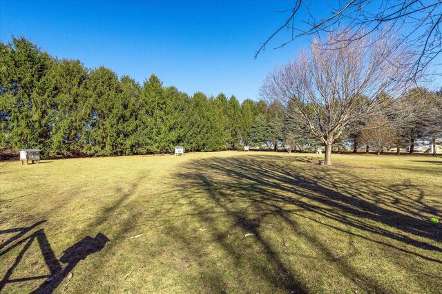 4461 N Il State Route 23, Leland, IL 60531 - view of green lawn