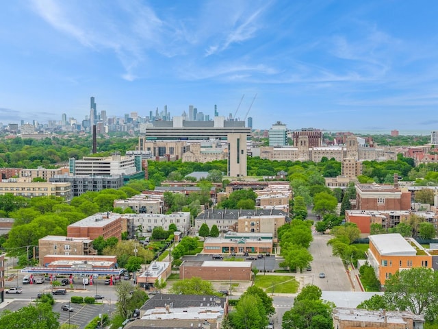 6347 S Drexel Ave, Chicago, IL 60637 - aerial view of skyline