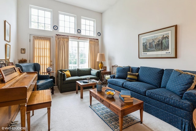 645 Concord Way Unit 645, Prospect Heights, IL 60070 - carpeted living area featuring a high ceiling