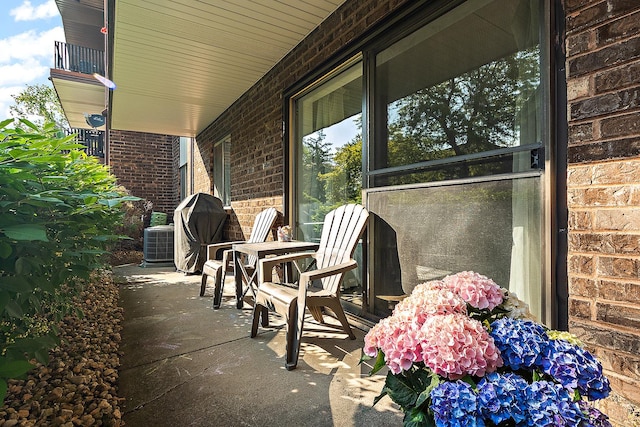 5235 James Ln Unit 1202, Crestwood, IL 60418 - view of patio with central AC and grilling area