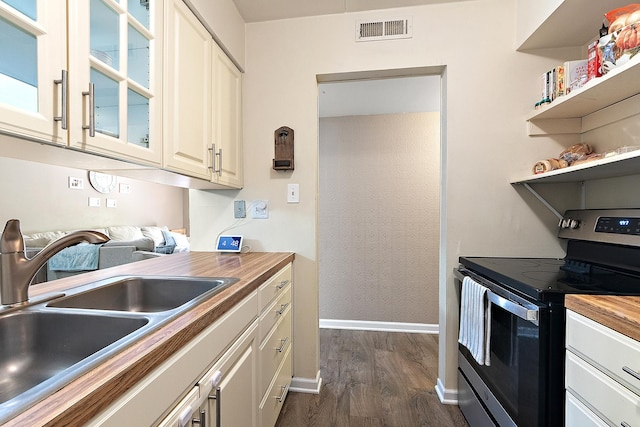 5235 James Ln Unit 1202, Crestwood, IL 60418 - kitchen with stainless steel range with electric cooktop, a sink, dark wood-type flooring, baseboards, and glass insert cabinets