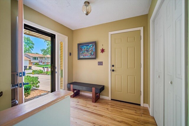 315 S Bone Dr, Normal, IL 61761 - foyer entrance with light wood finished floors and baseboards