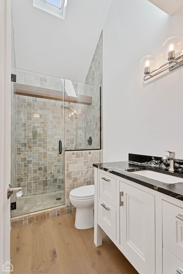 9317 Firth Ct, Lakewood, IL 60014 - bathroom featuring toilet, vanity, a shower stall, a skylight, and lofted ceiling