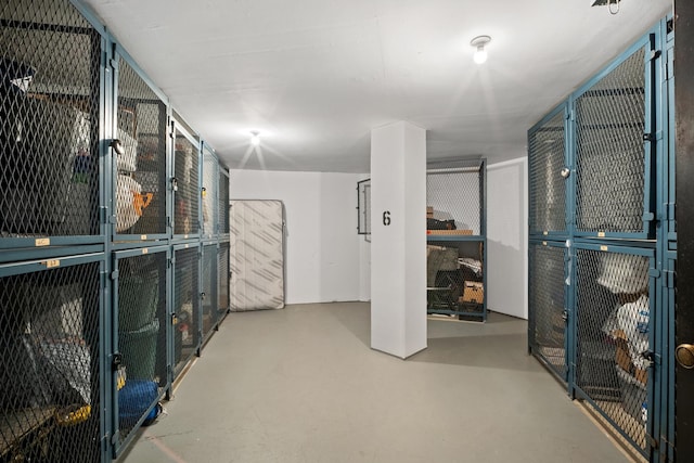 101 Bar Harbour Rd Unit 6E, Schaumburg, IL 60193 - view of storage