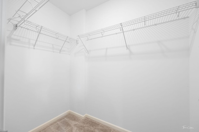 642 Wolverine Dr, Aurora, IL 60502 - spacious closet featuring light carpet