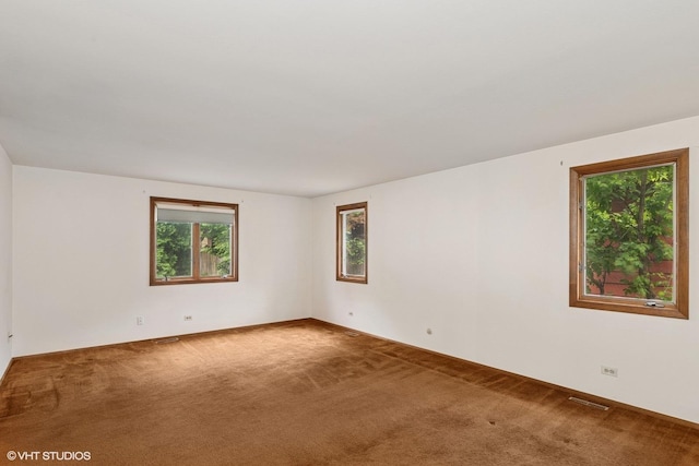 427 Lawrence Ave, Grayslake, IL 60030 - view of carpeted empty room