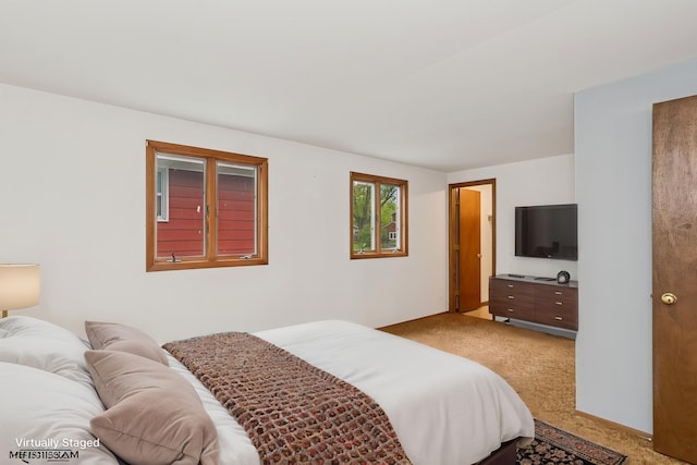427 Lawrence Ave, Grayslake, IL 60030 - view of carpeted bedroom