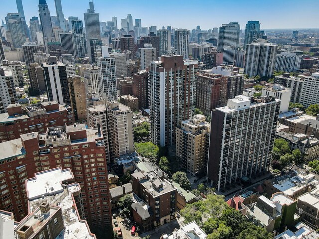 39 E Schiller St Unit 1E, Chicago, IL 60610 - photo 41