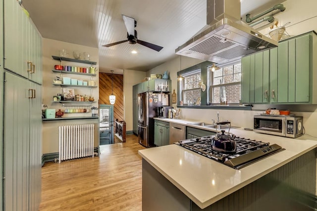 1701 W Chase Ave, Chicago, IL 60626 - kitchen featuring radiator, green cabinets, stainless steel appliances, island range hood, and a sink