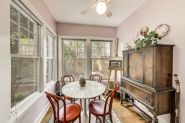 1701 W Chase Ave, Chicago, IL 60626 - dining room with light wood-style flooring, a ceiling fan, and baseboards
