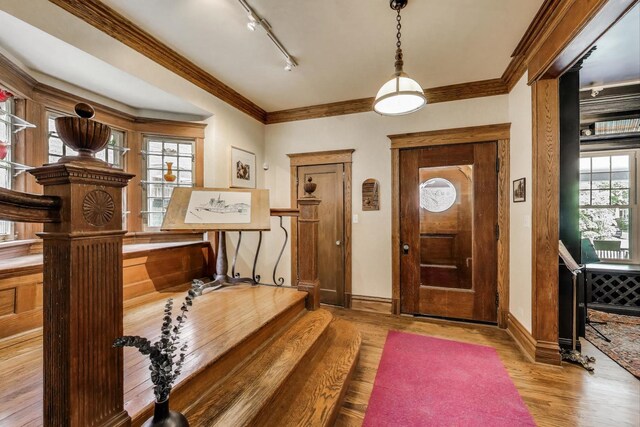 1701 W Chase Ave, Chicago, IL 60626 - foyer with wood finished floors, track lighting, ornamental molding, and baseboards