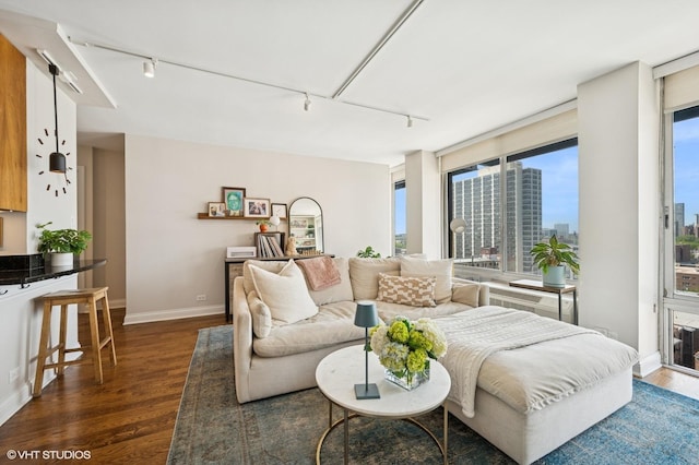 450 W Briar Pl Unit 12G, Chicago, IL 60657 - living area with track lighting, dark wood-type flooring, and baseboards