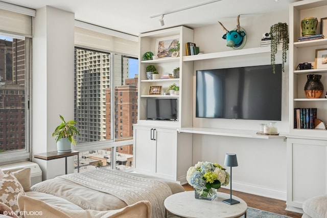 450 W Briar Pl Unit 12G, Chicago, IL 60657 - living area with wood finished floors, rail lighting, and baseboards